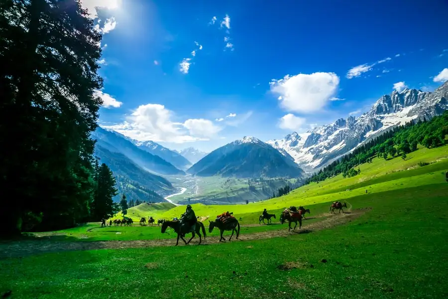 Kashmir Tour package 5 Nights & 6 Days Starting from INR 8850 only