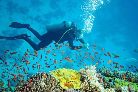 Andaman Honeymoon Tour Package  5 Nights & 6 Days