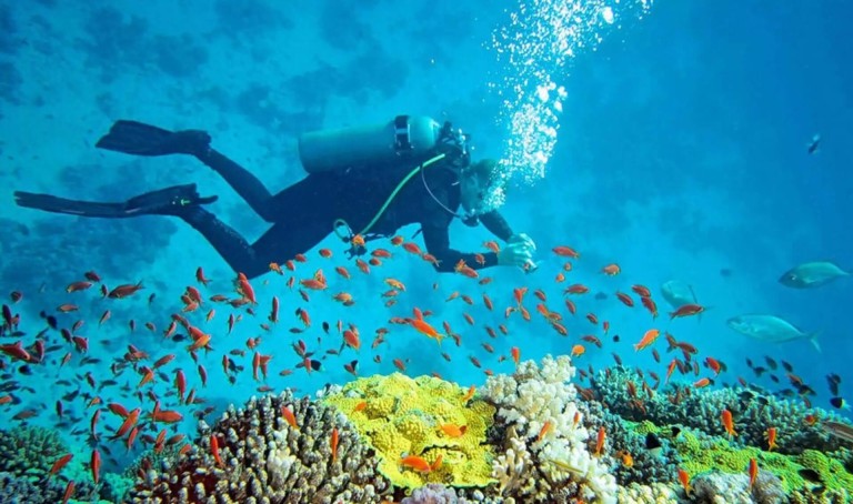 Andaman Honeymoon Tour Package  5 Nights & 6 Days